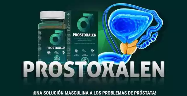 Beneficios De Prostasen Para La Salud De La Próstata
