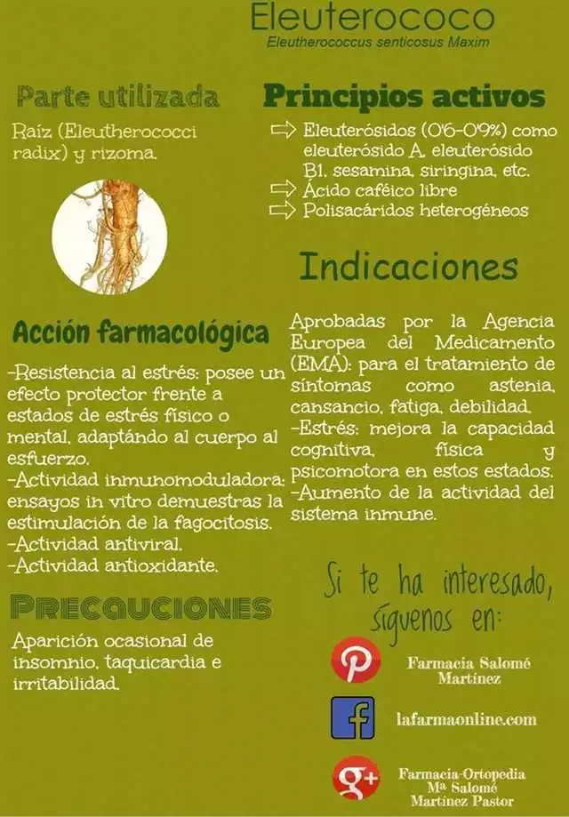 Beneficios De Hypertea En La Junquera: