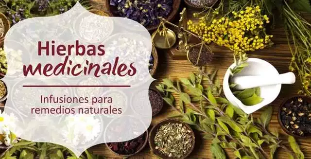 Precio de Hypertea en Bilbao | Comprar té de hierbas en línea en España